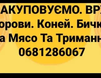 Зображення для оголошення Закупiвля