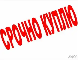 Зображення для оголошення Бычки телята