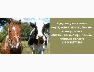Купуємо ВРХ