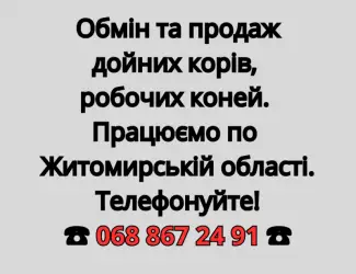 Обмін та продаж дойних корів