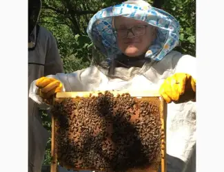 Продам пчелопакеты Карника