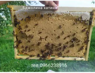 Бджолопакети карпат