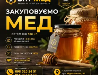 Купуємо мед соняшниковий. ОПТ-МЕД