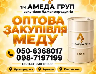 АМЕДА ГРУП Куємо мед оптом соняшниковий центральна Україна