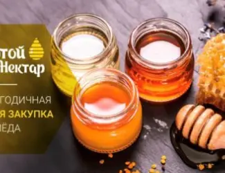 Закуповуємо мед