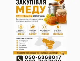 Оптова закупівля меду соняшникового у населення АМЕДА ГРУП