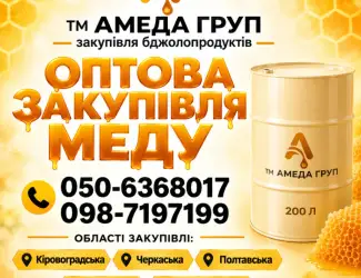 Мед оптом купуємо на постійній основі АМЕДА ГРУП