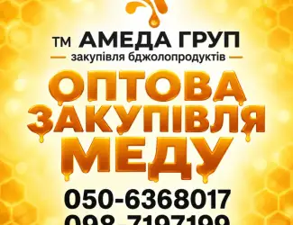 Купуємо мед соняха АМЕДА ГРУП