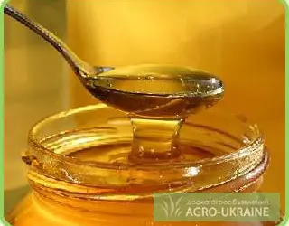 Куплю мёд разных сортов