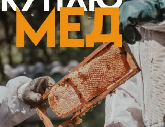 Куплю мед від 300 кг Черкаська область