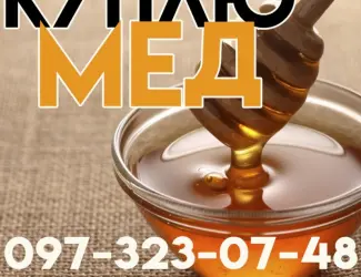 Куплю мед від 300 кг Кіровоградська та Черкаська обл