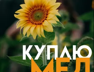 Закупка МЕДУ у Кіровоградській області