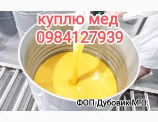 Підприємство купує мед від 300кг для єкспору
