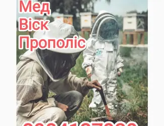 Закупівля Меду