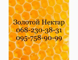 Закупка меда по Днепропетровской и Херсонской обл
