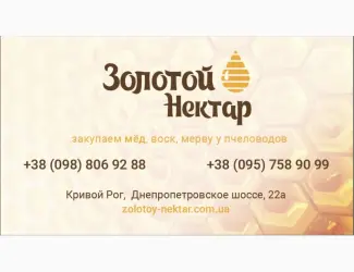 Закупка Рапсового и Подсолнечного меда без антибитотиков