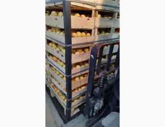 Зображення для оголошення Продам молдавскую ананаску