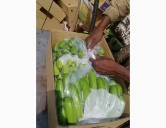 Зображення для оголошення Продам банани від постачальника з 20 тонн. Банани вже в Україні