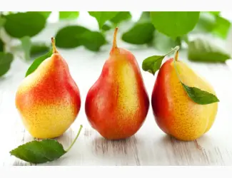 Зображення для оголошення Купим грушу