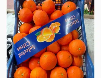 Зображення для оголошення Продаємо Мандарин Нова