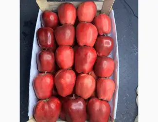 Зображення для оголошення Продам яблука Джеромін