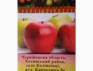 Зображення для оголошення Продам яблоки