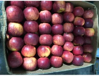 Зображення для оголошення Продам яблука