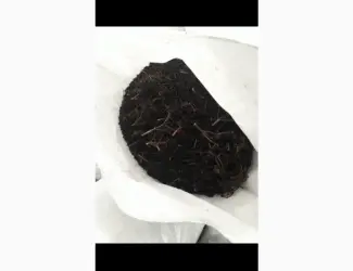 Зображення для оголошення Куплю замороженную бузину и другие ягоды от 20 тонн