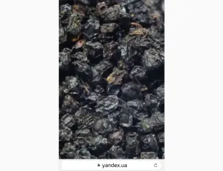 Зображення для оголошення Купим Только сухую ягоду Закупаем.Бузина