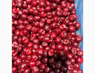 Зображення для оголошення Продам вишня б/к шокова заморозка