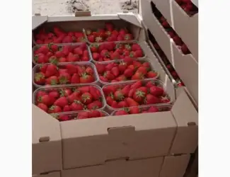 Продам полуницю
