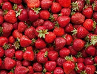 Зображення для оголошення Куплю полуницю 10-25кг в день тернопіль