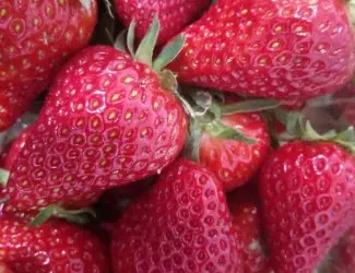 Зображення для оголошення Купуємо свіжу полуницю