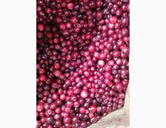 Зображення для оголошення Продам журавлину морожену Б-класу