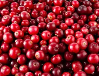 Зображення для оголошення Продам журавлину (клюкву)