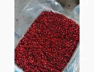 Зображення для оголошення Продам журавлину опт