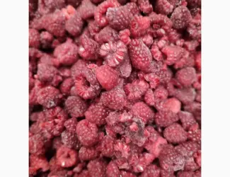 Зображення для оголошення Продам грис
