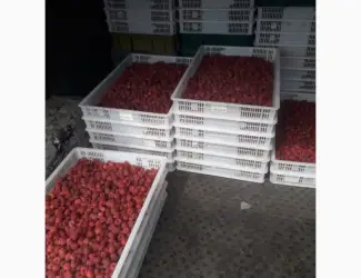 Зображення для оголошення Купим малину для заморозки від фермерів