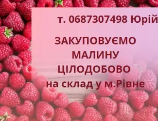Зображення для оголошення Закуповуємо свіжу малину