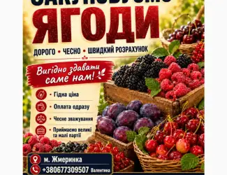 Зображення для оголошення Закупляємо ОПТОМ свіжу ягоду малини на постійній основі