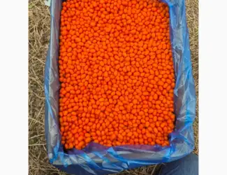 Зображення для оголошення Продам обліпиху висшого сорту заморожену