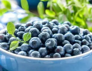 Зображення для оголошення Продам сушену чорницю