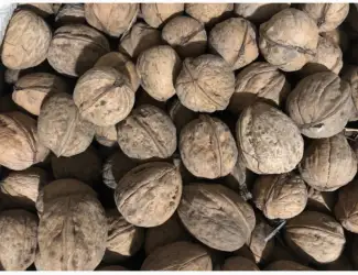 Зображення для оголошення Продам горіх кругляк