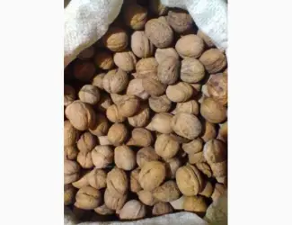 Зображення для оголошення Куплю орех
