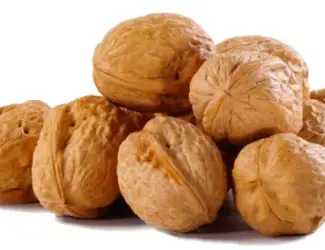 Куплю орех грецкий