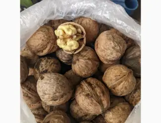 Куплю горіх дорого