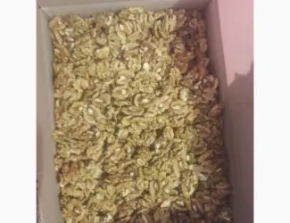 Куплю горіх кругляк