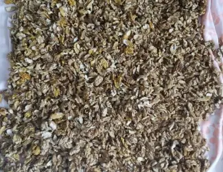Зображення для оголошення Купую чищений сухий грецький горіх