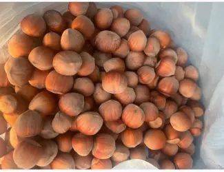 Зображення для оголошення Продам фундук нового урожая