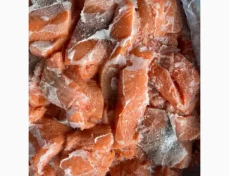 Кусок лосося